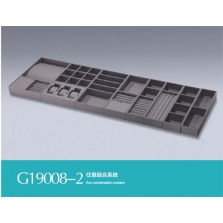 G19008-1